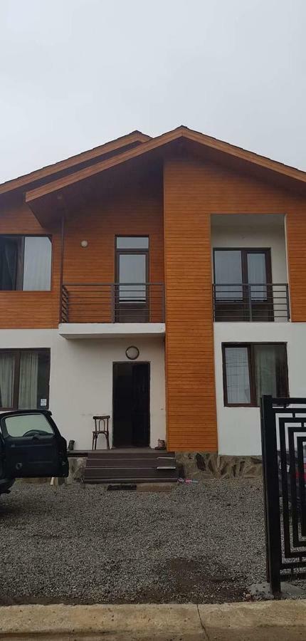 N1 Cottage In Bakoerjani Buitenkant foto